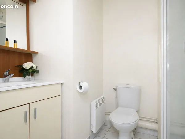 Investissement locatif - studio meublé + parking