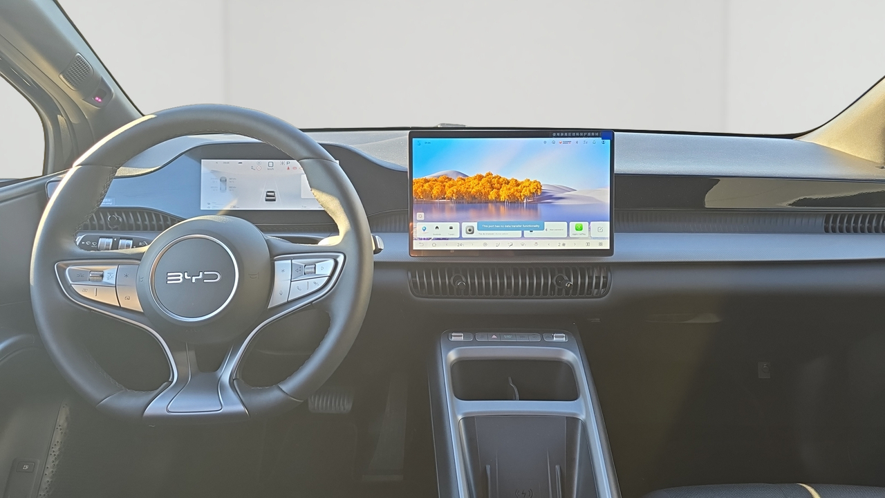 BYD Dolphin G 1.5 DM-i PHEV 212 ch — photo 10