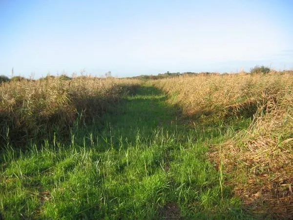 Propriété - Arras - 250000m²