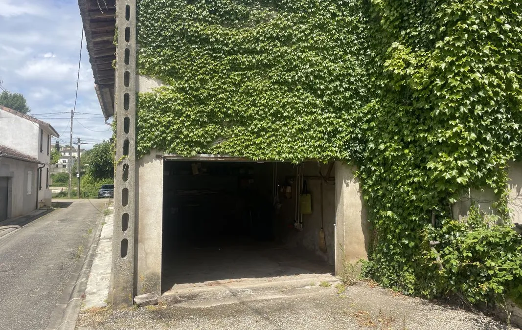 Photo 11