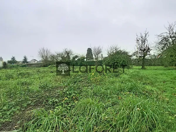 Terrain 702 m²