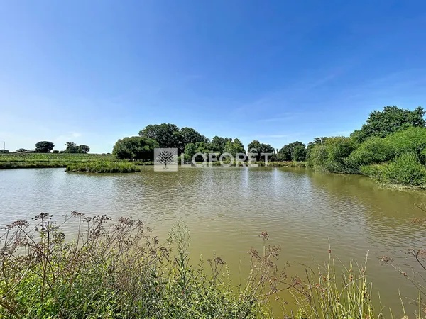 Terrain 16500 m²