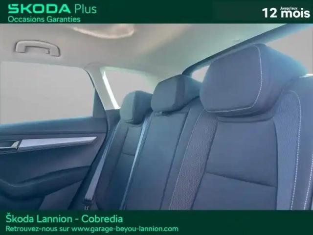Skoda Karoq 2.0 tdi 116ch scr business dsg7 — photo 9