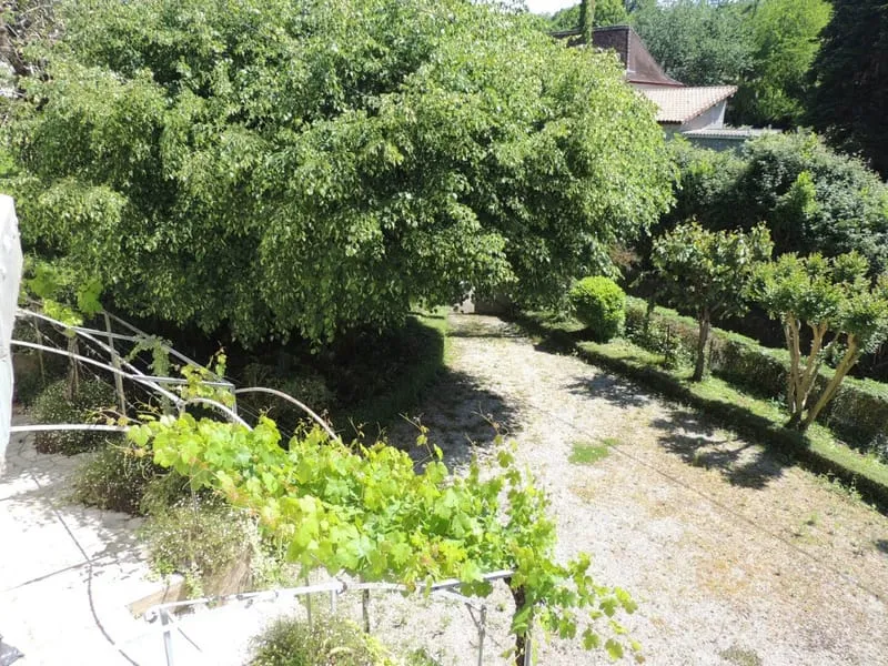 Photo 15