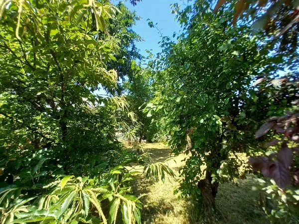 Terrain constructible