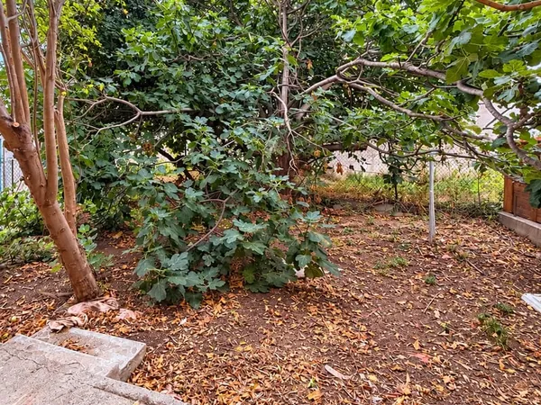 Maison 6 pièces 134 m²