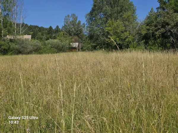 Terrain en individuel 1063 m²