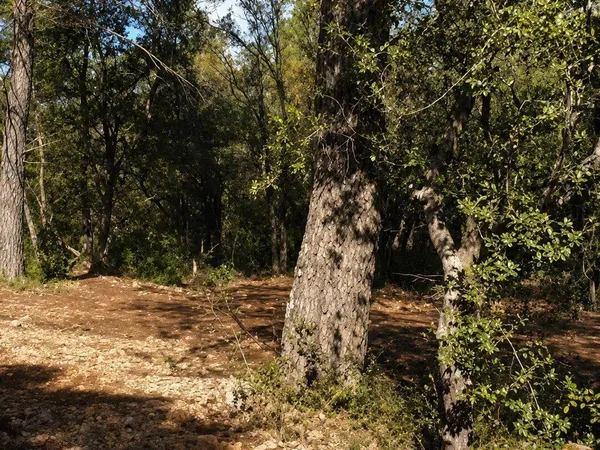 Terrain constructible 7807 m²