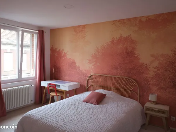 Spacieuse chambre dans colocation de 3 - centre ville Amiens