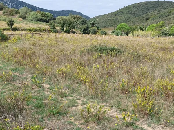 11510 Terrain constructible 1970 m2
