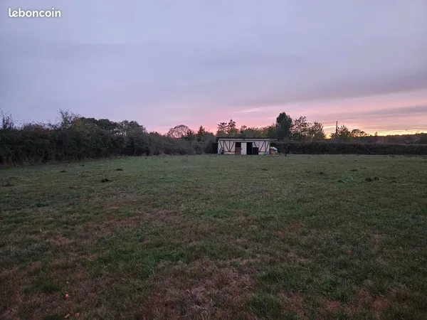 Box et près