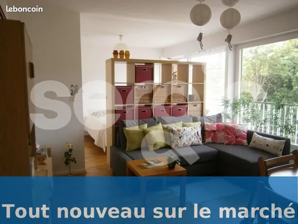 Appartement 1 pièce 45 m²