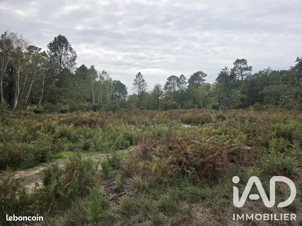 Terrain 3780 m² Montendre
