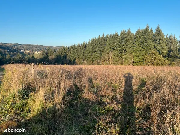 Terrain agricole de 11 669 m² entre Bas en Basset et Malvalette