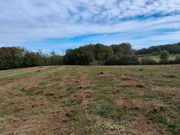 A louer terrain agricole