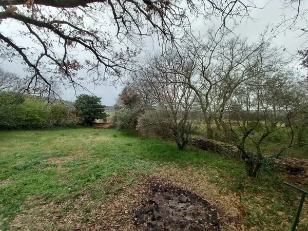 Vente terrain