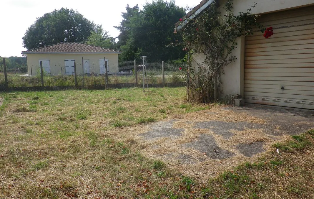 Photo 3