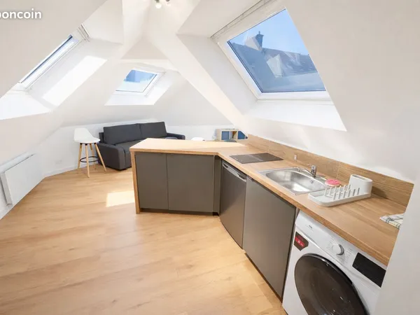 Appartement - 2 pièces meublé et équipé - 21m² loi carrez - 40m2 au sol