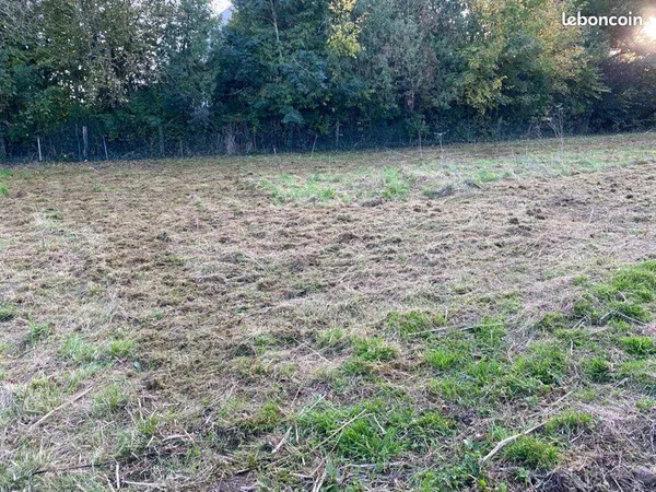 Grand terrain en vente