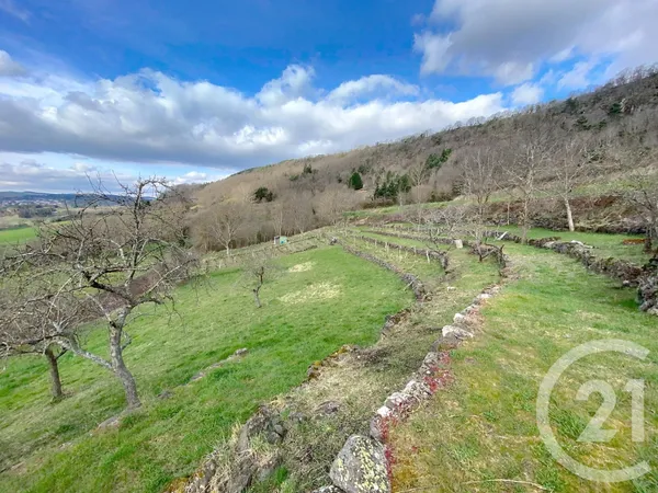Terrain 2971 m²