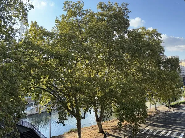 Appartement T4 103m2 Port Saint Sauveur
