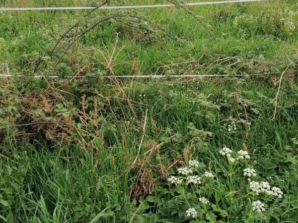 Terrain 703 m² Le Sourn