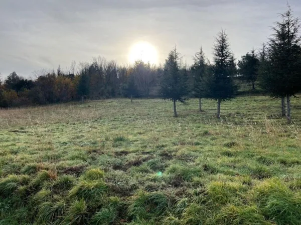 Terrain en individuel 7661 m²