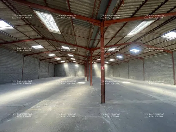 Local d'activité 1200 m²