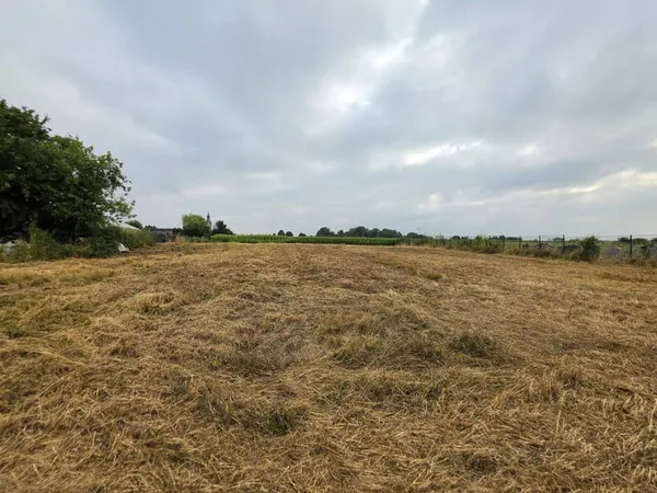 Terrain 2255 m²