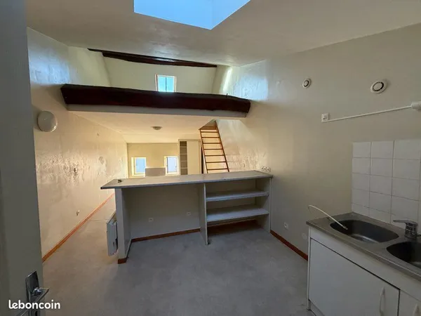 Studio avec mezzanine 60 m2