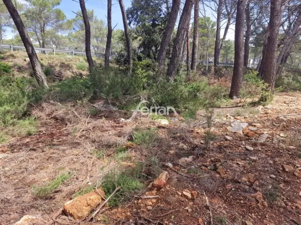 Terrain en individuel 829 m²