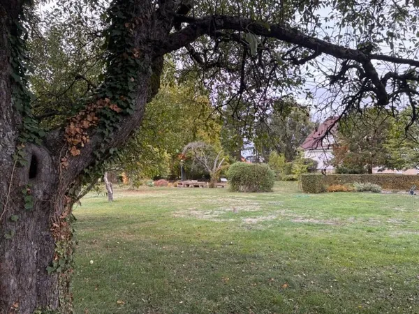 Terrain 350 m²