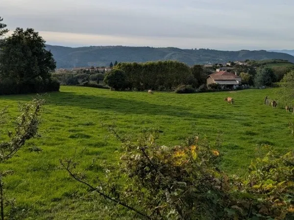 Terrain 429 m²