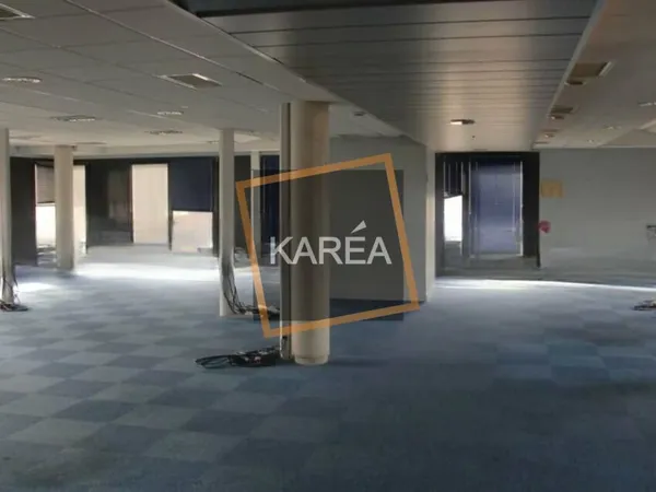 Local professionnel 665 m²