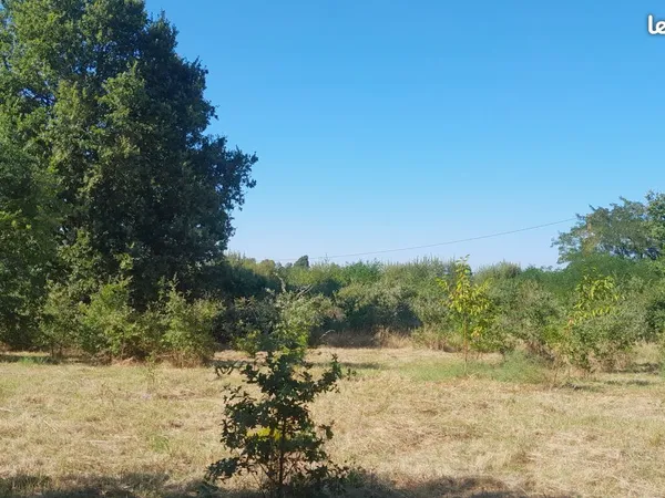 Terrain constructible