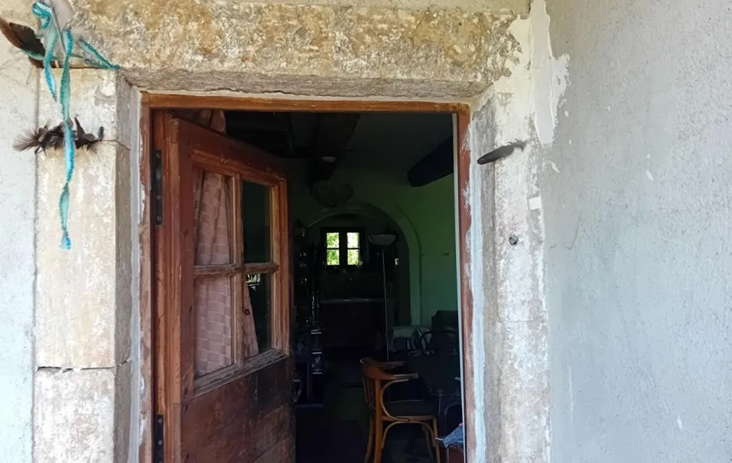 Photo 6