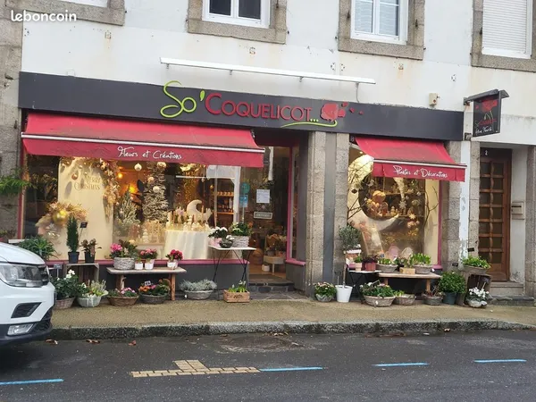 Local commercial Roscoff