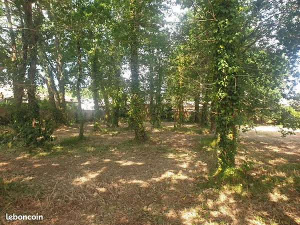 Terrain 656m2