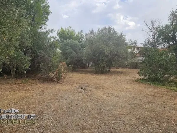 Terrain 1329 m²
