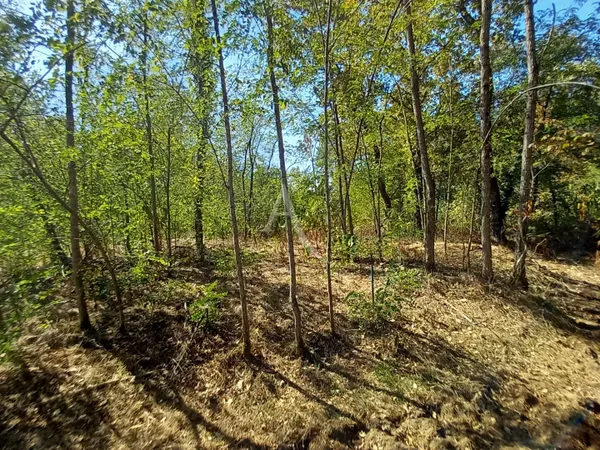 TERRAIN CONSTRUCTIBLE DE 3 824 M² À SAINTE-FOY