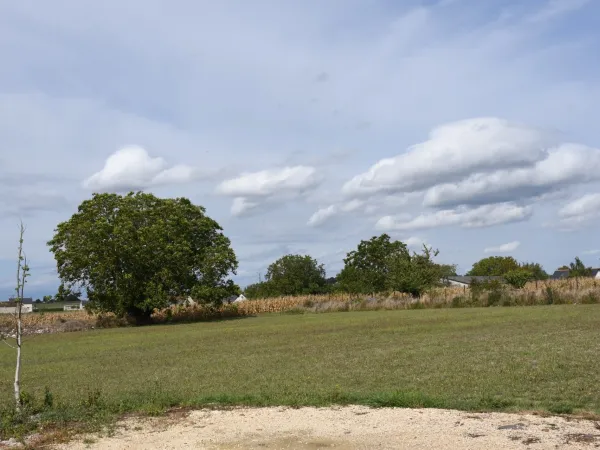 Terrain 7800 m²