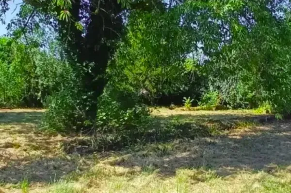Terrain 811 m²