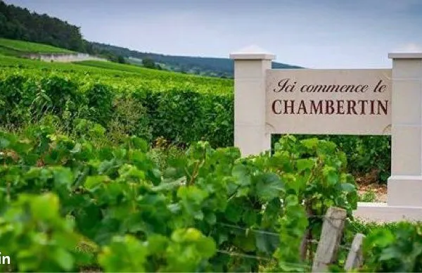 À vendre parcelle vigne gevrey-chambertin