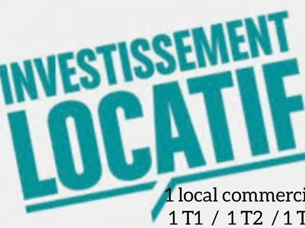 Immeuble de rapport 7 pièces 248 m²