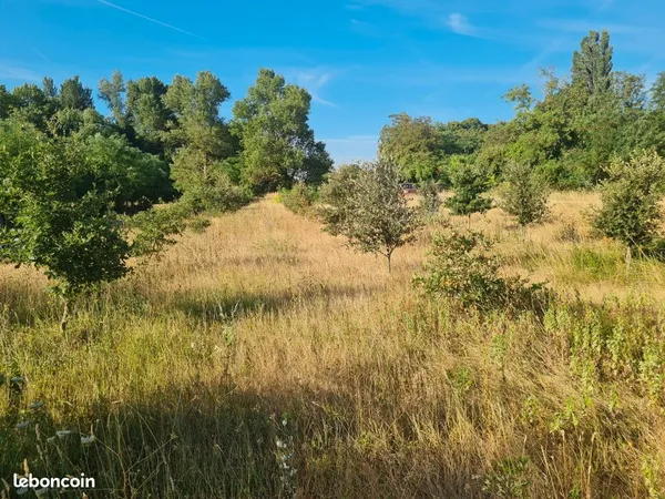 Terrain de loisirs truffier
