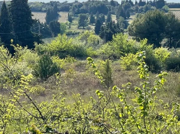 Terrain constructible, intimiste à Châteauneuf-de-Gadagne