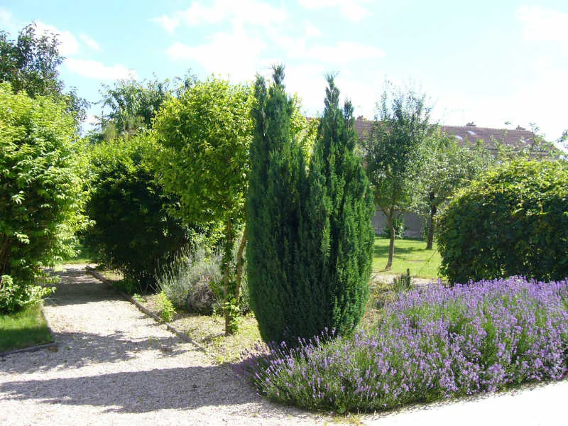 Photo 4
