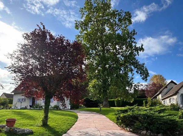 Maison 5 pièces 145 m²