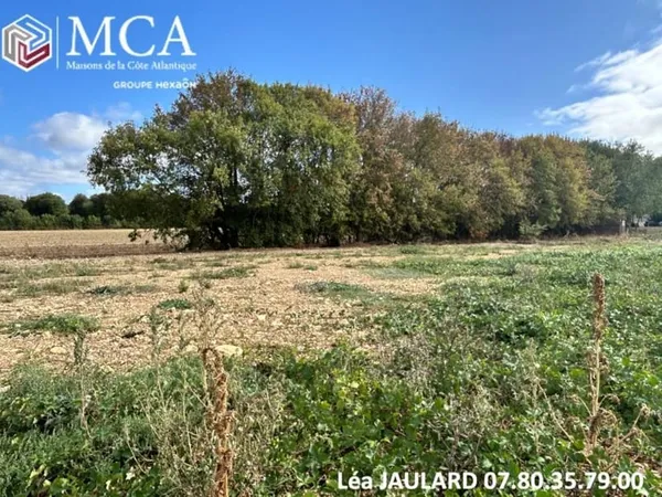 Terrain 411 m²