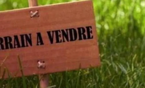 Terrain constructible